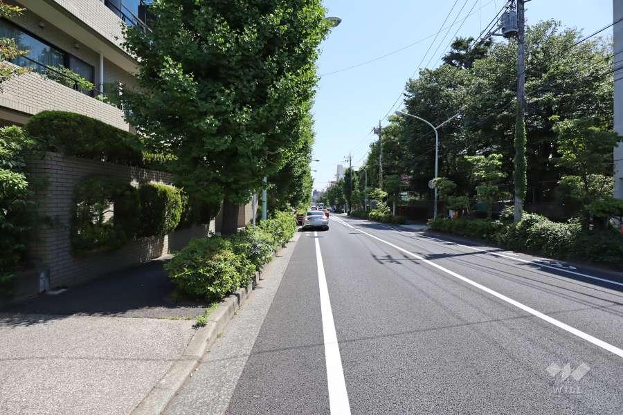 敷地南側の前面道路