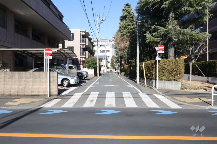 敷地西側の前面道路(南側から)