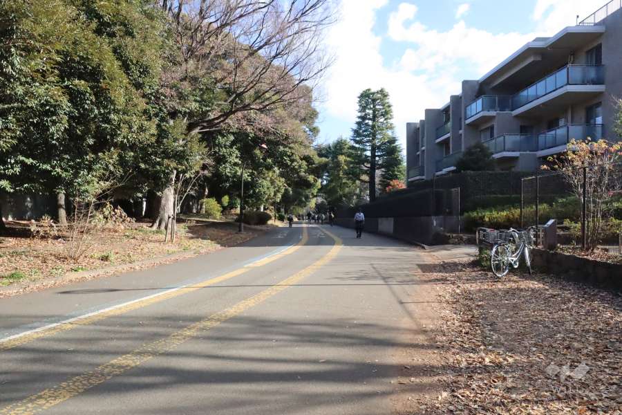 敷地北側の前面道路(西側から)