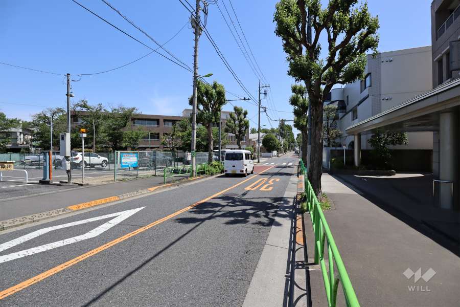 敷地北側の前面道路（西側から）