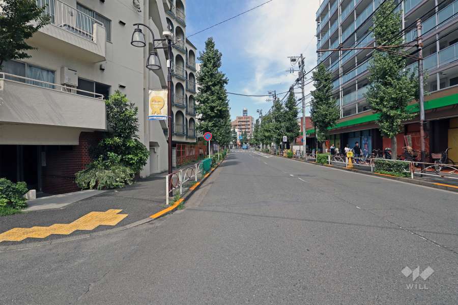 敷地東側前面道路は駒沢公園通りです（南側から）。