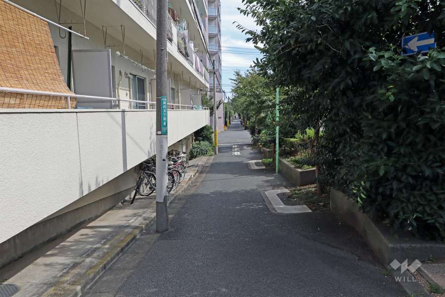 敷地南側前面道路（西側から）