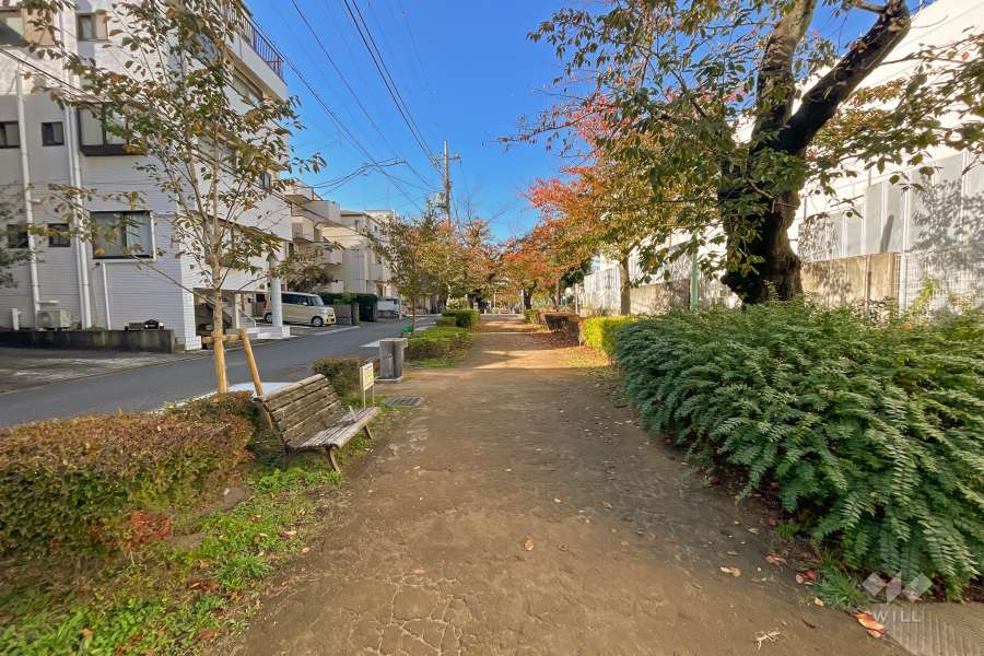 敷地北側の遊歩道（東側から）