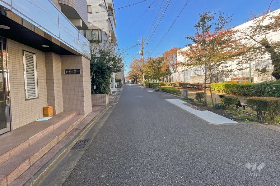 敷地北側の前面道路（東側から）
