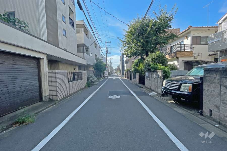 敷地南側の前面道路（西側から）
