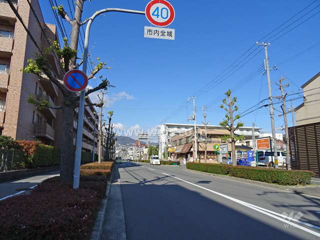 敷地東側の前面道路。目の前にバス停があります。