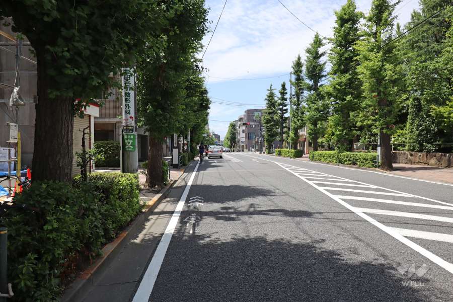 敷地北側の前面道路（東側から）