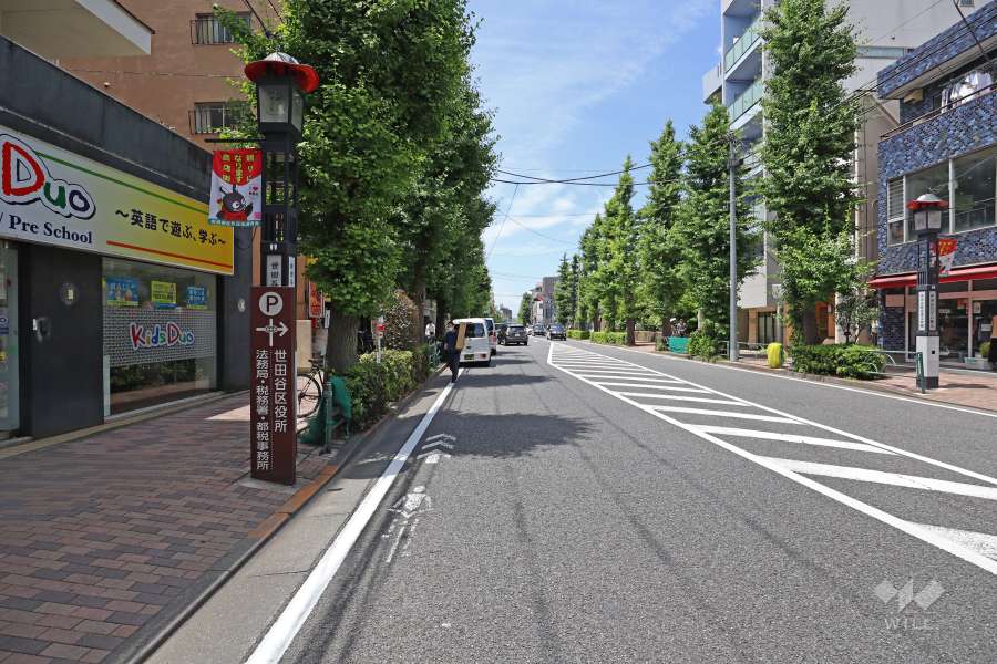 敷地北側の前面道路（東側から）