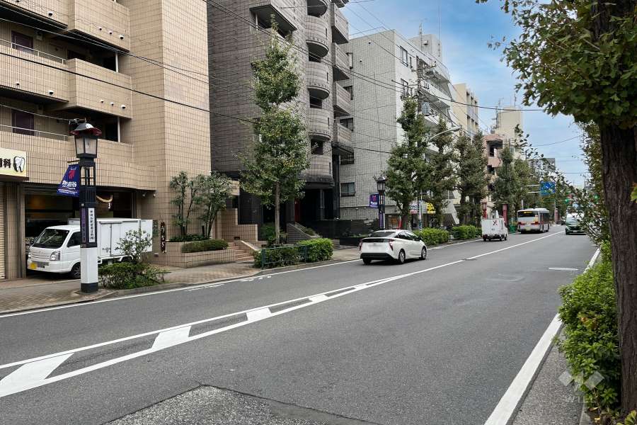 敷地の北側前面道路（東側から）