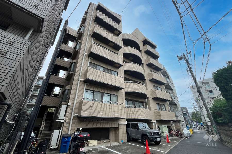 アベニュー世田谷（世田谷1丁目）の外観（南西側から）