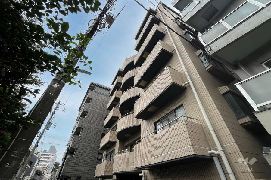 アベニュー世田谷（世田谷1丁目）の外観（南東側から）