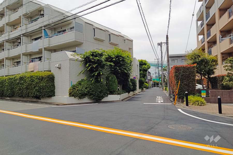 敷地の北側道路（東側から）