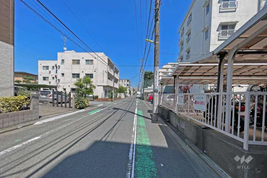 敷地北側の前面道路（西側から）