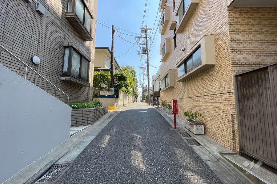 敷地東側の前面道路（北側から）