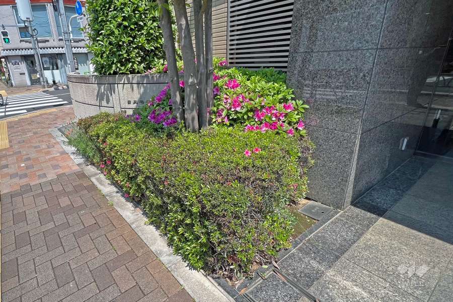敷地内の各所に植栽スペースが設けられています。