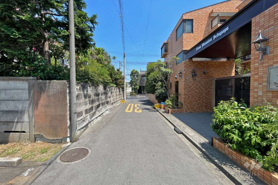 敷地北側の前面道路（西側から）