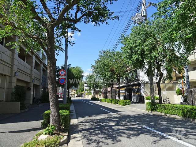 敷地南側の前面道路。鳴尾御影線沿いにあり、歩道が整備され街路樹がきれいです。