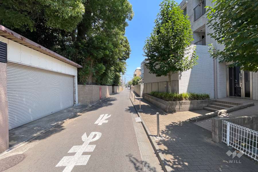 敷地北側の前面道路（西側から）