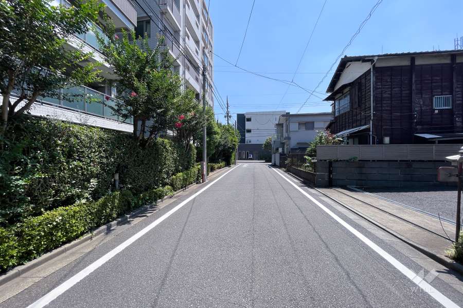 敷地西側の前面道路（北側から）