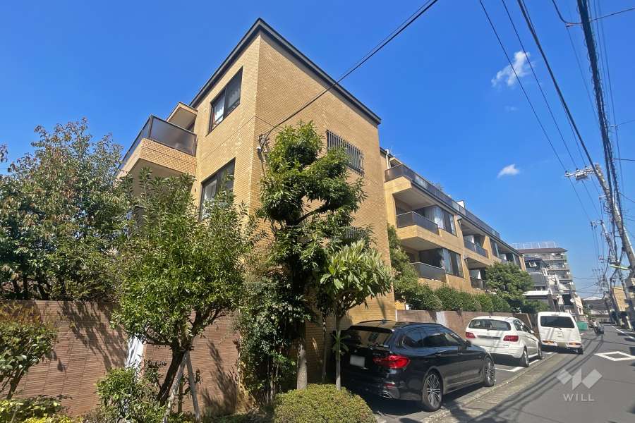 世田谷ハウスの外観（南東側から）