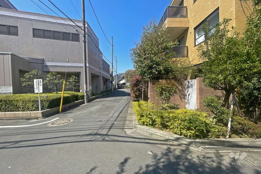 敷地南側の前面道路（東側から）