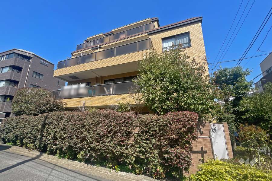 世田谷ハウスの外観（南側から）