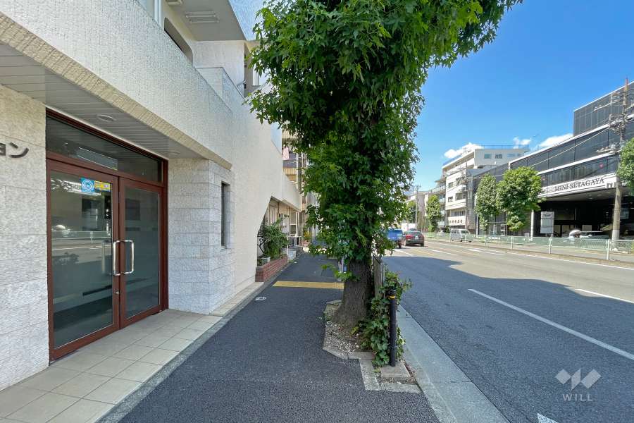 敷地北東側の前面道路