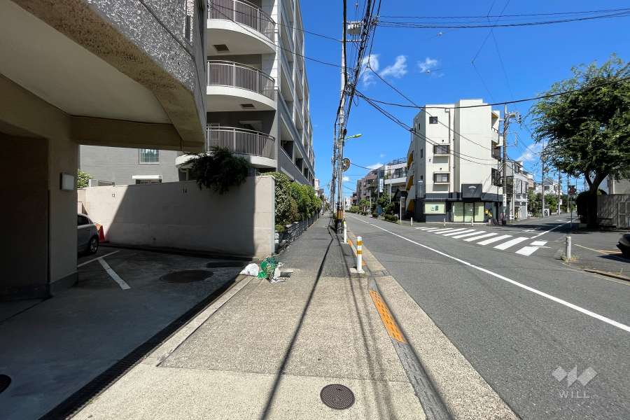 敷地南東側の前面道路（南西側から）