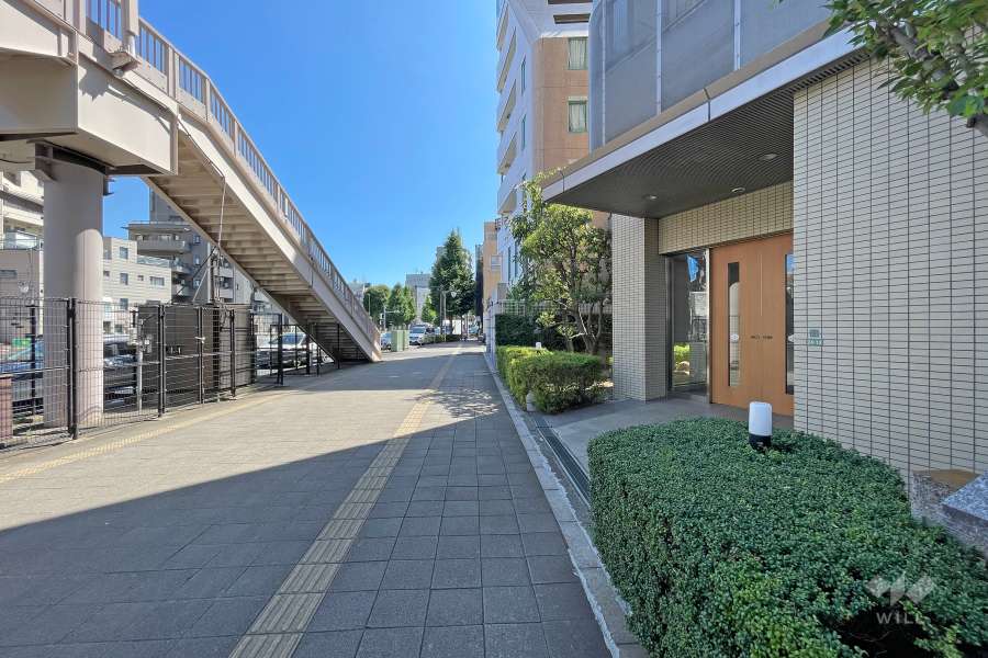 敷地東側の前面道路（北側から）