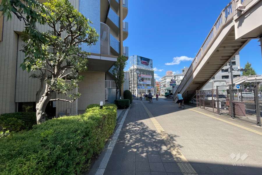 敷地東側の前面道路（南側から）