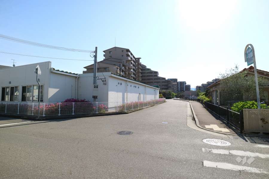 敷地に続く道