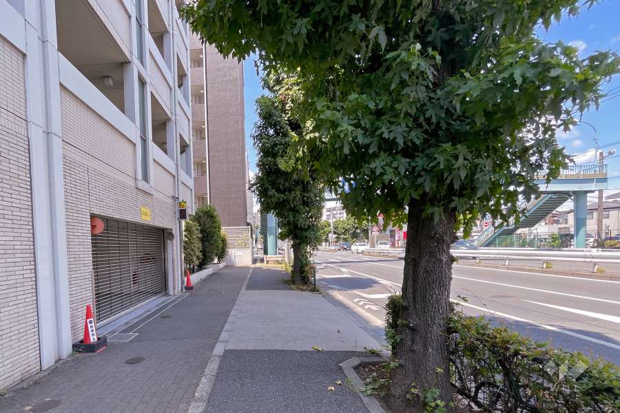敷地東側の前面道路（南側から）