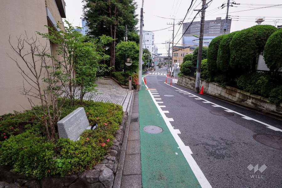 敷地西側の前面道路（北側から）