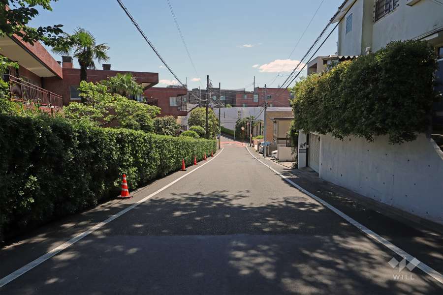 敷地の南側前面道路（西側から）