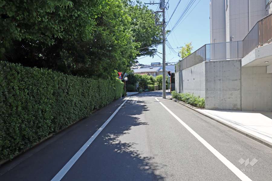敷地の西側前面道路（北側から）