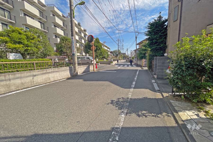 敷地南側の前面道路（西側から）
