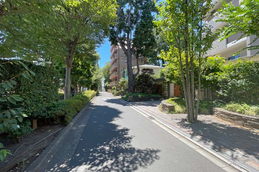 敷地東側の前面道路　