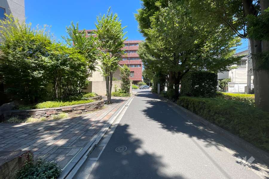 敷地東側の前面道路