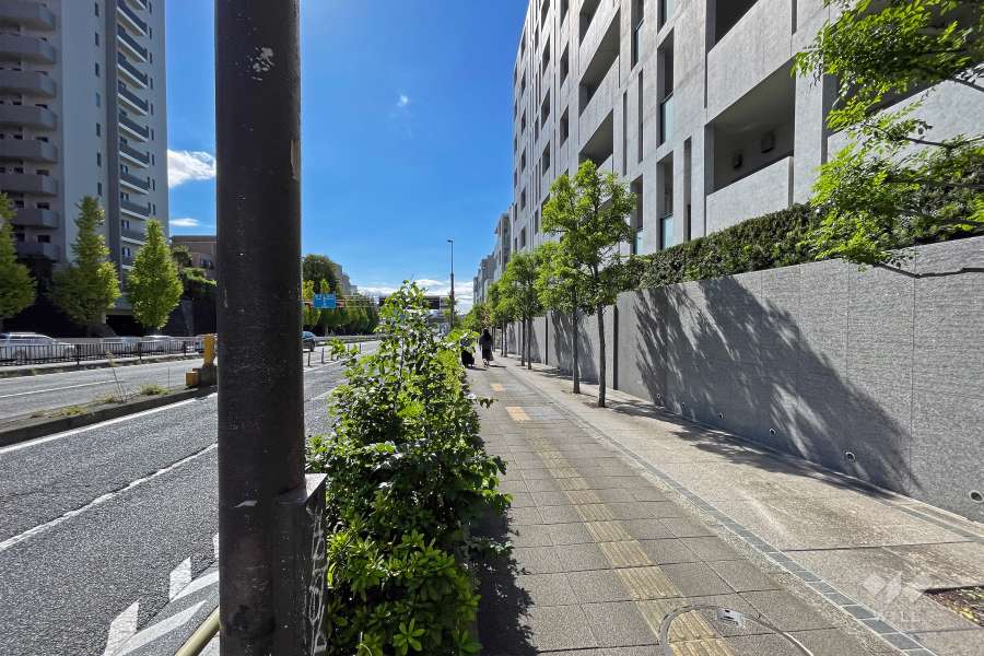 敷地の東側全面道路（北側から）