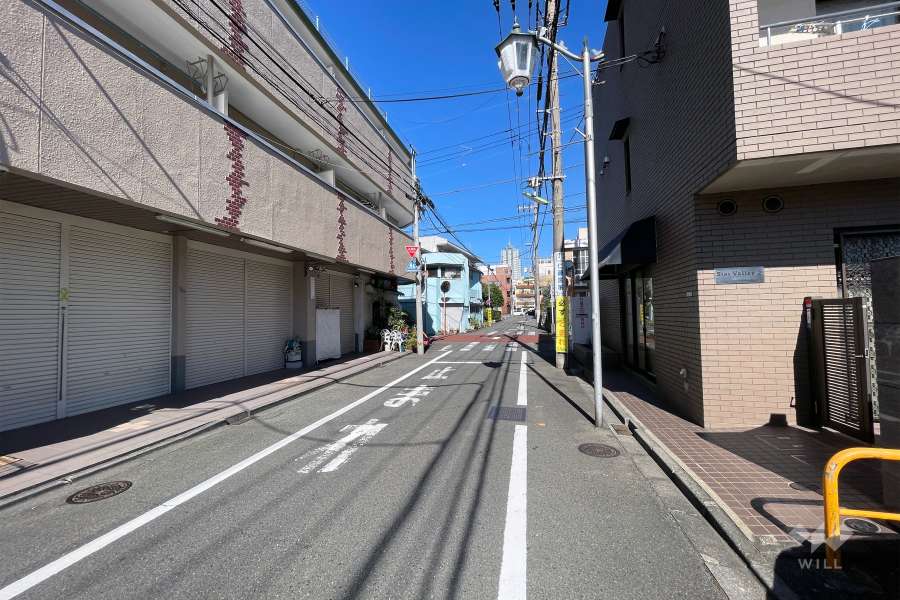 敷地の東側前面道路（南側から）