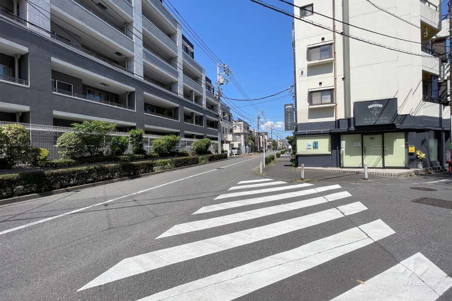 敷地南側の前面道路（西側から）