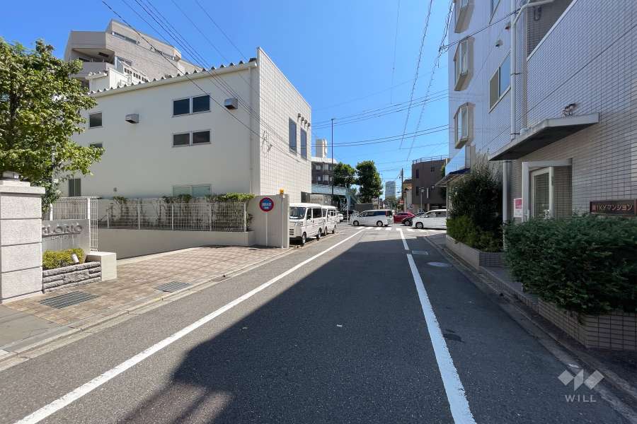 敷地西側の前面道路（北側から）