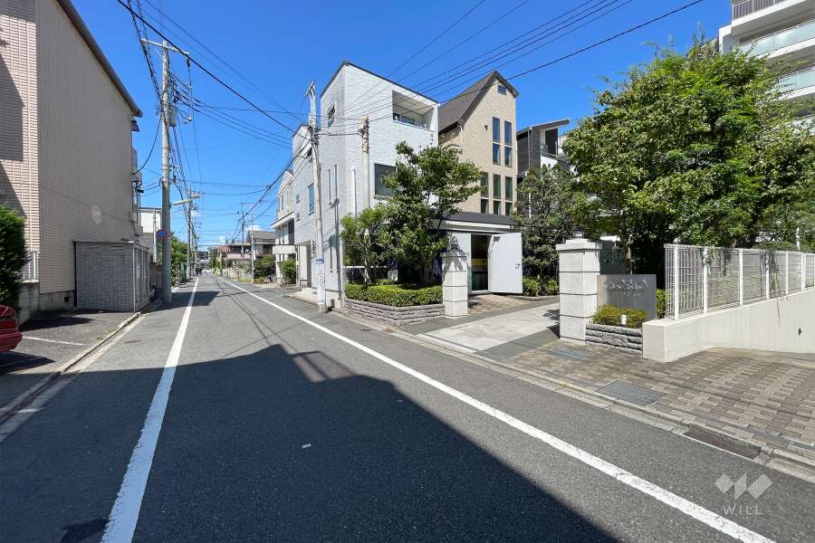 敷地西側の前面道路（南側から）