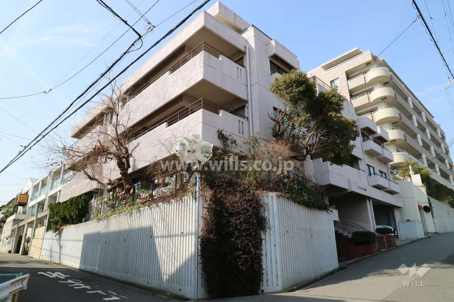 エスプリ夙川神垣町の外観（南東側から）