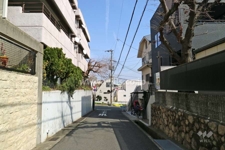 敷地南側の前面道路