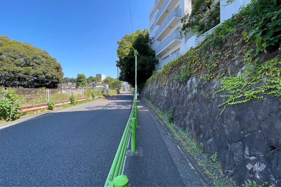 敷地の西側道路（南側から）