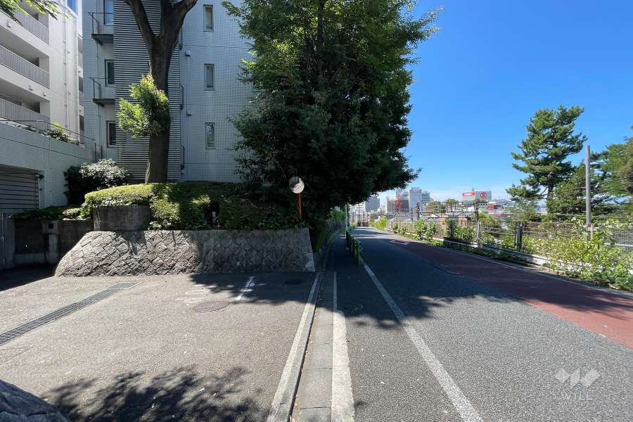 敷地の西側道路（北側から）