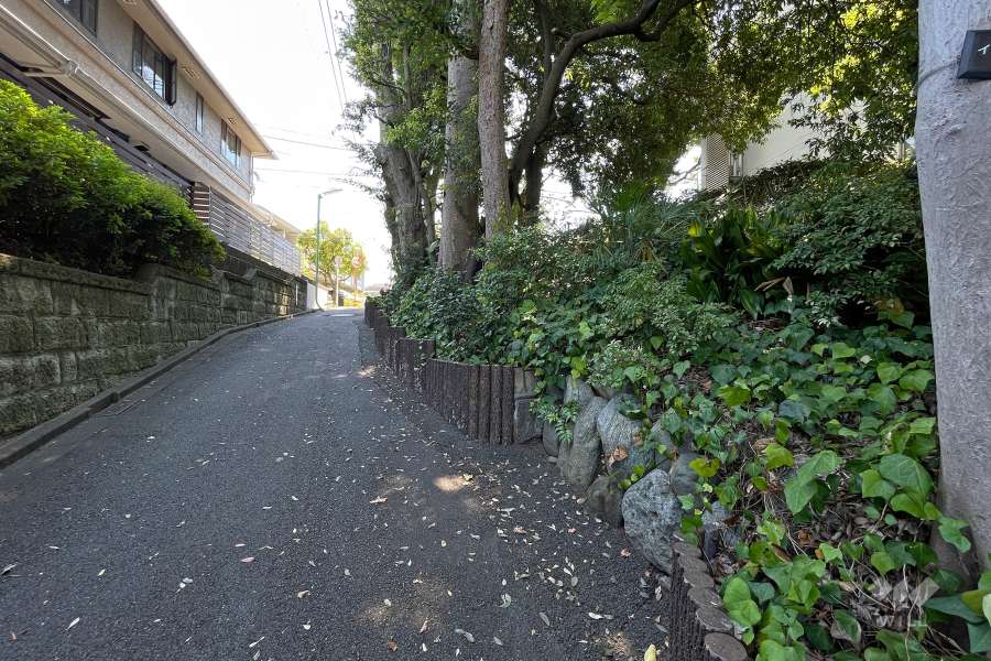 敷地の北側道路の西側から