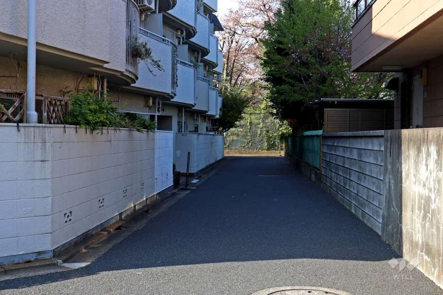 敷地東側の前面道路