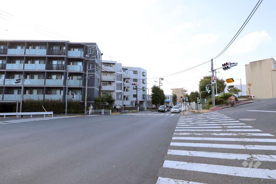 敷地南側の前面道路（東側から）
